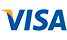 Visa Logo